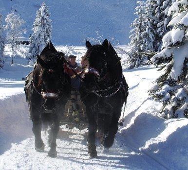 Hotel Oxa Hittisau Εξωτερικό φωτογραφία